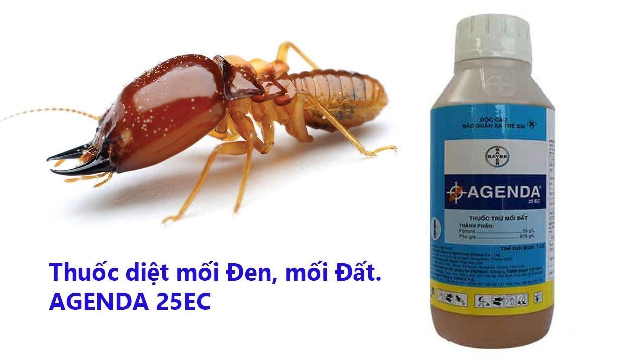 Thuốc diệt mối Agenda 25EC